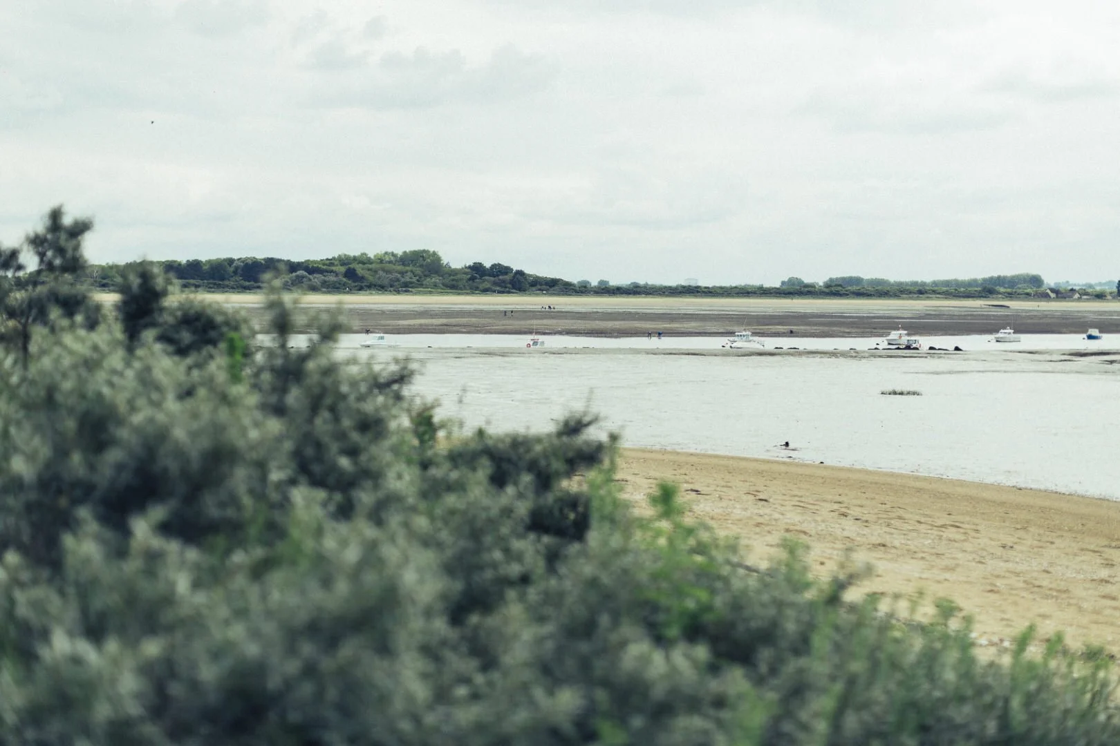30-Wedding in Normandie 19 juin 2016Mael LAMBLA.jpg