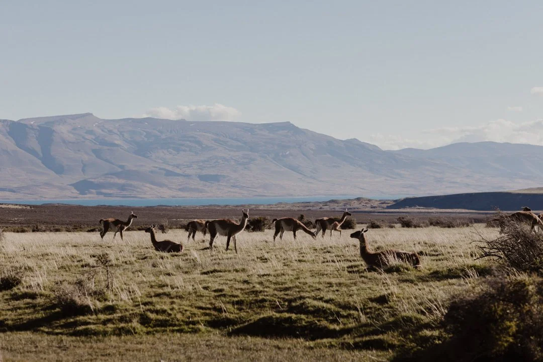 Mael Lambla Patagonia--40.jpg