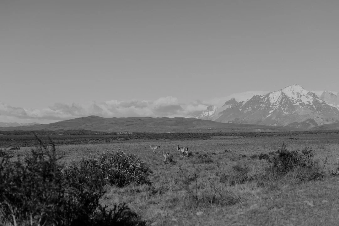 Mael Lambla Patagonia--2.jpg