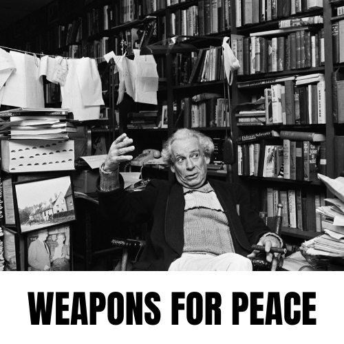 WEAPONS FOR PEACE.png