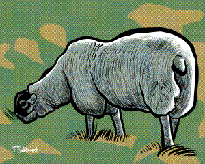 47 - Sheep eating grass.png