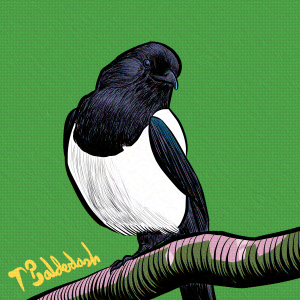 7-Magpie on a branch with watermark-nightshade-intensity-DEFAULT-V1-glazed-intensity-20-V1.png