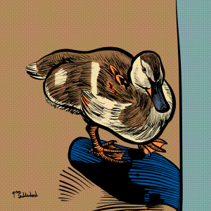 41 - Duckling.png