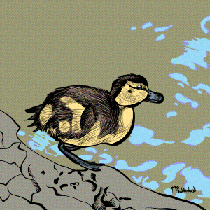 62 - Duckling 2.png