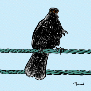22 - Blackbird on rope string thing.png