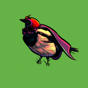 Magpie Magneto