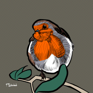 66 - Robin tilted head.png