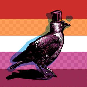 Gentleman Jackdaw