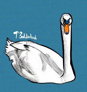 26-Swan in water with watermark-nightshade-intensity-DEFAULT-V1-glazed-intensity-10-V1.png