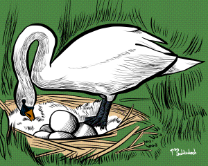 42 - Swan with eggs.png