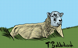 44-Sheep 3 4 view with watermark-nightshade-intensity-DEFAULT-V1-glazed-intensity-10-V1.png