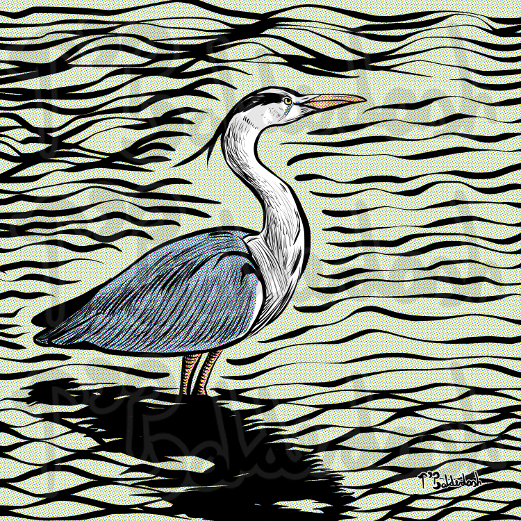 116 - Heron.png