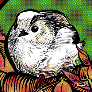 103 - Long tailed tit in branches.png