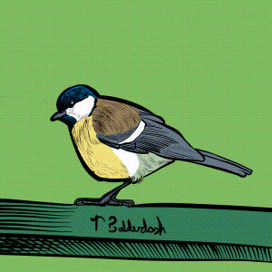 10-Great Tit side with watermark-nightshade-intensity-DEFAULT-V1-glazed-intensity-10-V1.png