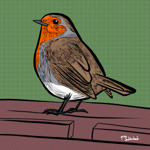 26 - Robin with a cute little eye.png