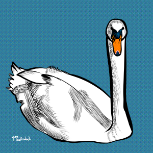 44 - Swan in water.png