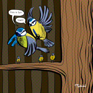 24 - Blue Tits fighting.png