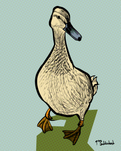 50 - Female Mallard bless her.png