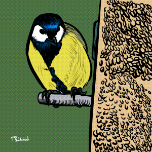 25 - Great Tit at feeder.png