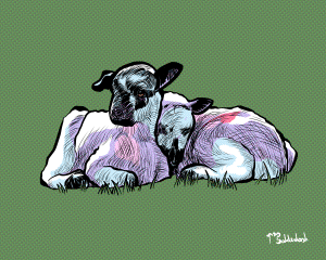 105 - LITTLE LAMBS SNUGGLING.png