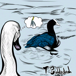 12-Swan Thinks About Coot Feet.png