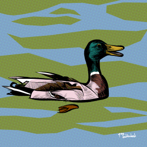 85 - QUACK.png