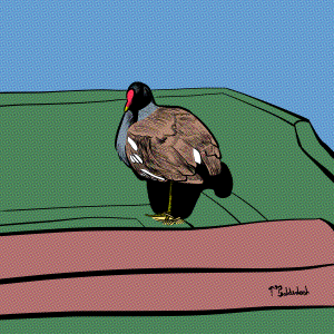 79 - Moorhen in boat thing.png