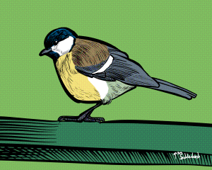 28 - Great Tit side.png