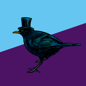 Mr Blackbird