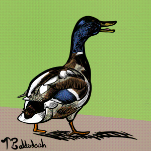 8-Duck walking and quacking with watermark-nightshade-intensity-DEFAULT-V1-glazed-intensity-20-V1.png