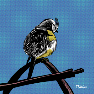 43 - Blue Tit silhouette.png