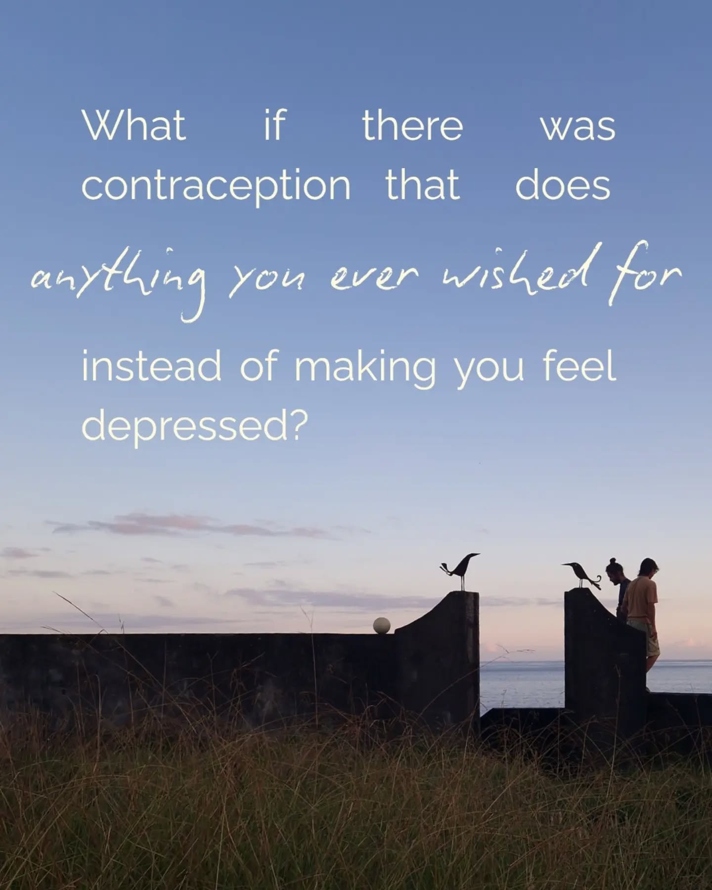 While on the pill and with my copper IUD, I was always so damn frustrated with my birth control options. Every option felt like I needed to sacrifice my health in some way or endure more pain simply to avoid pregnancy.

I wish someone would have at l