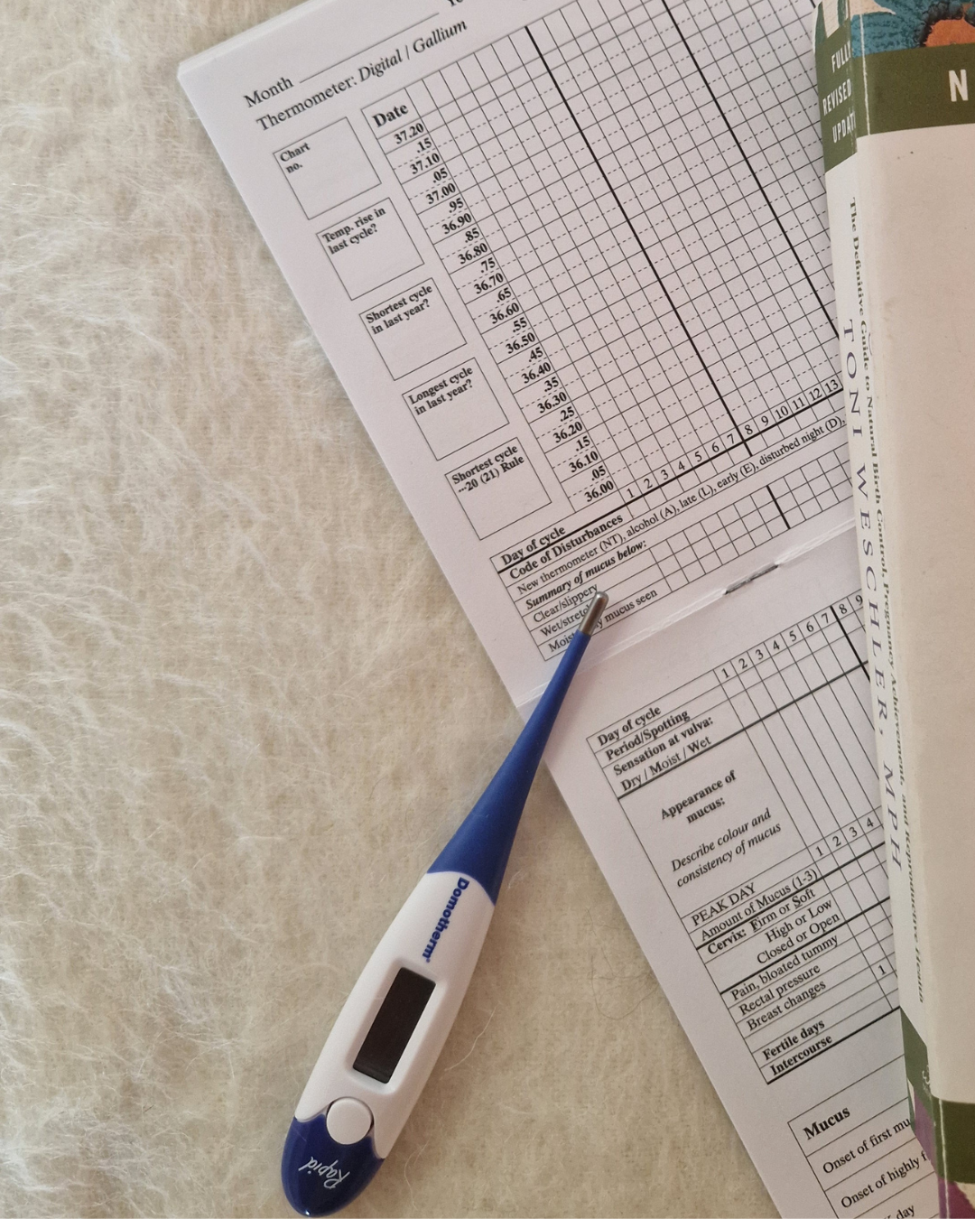 Untitled design (6).png