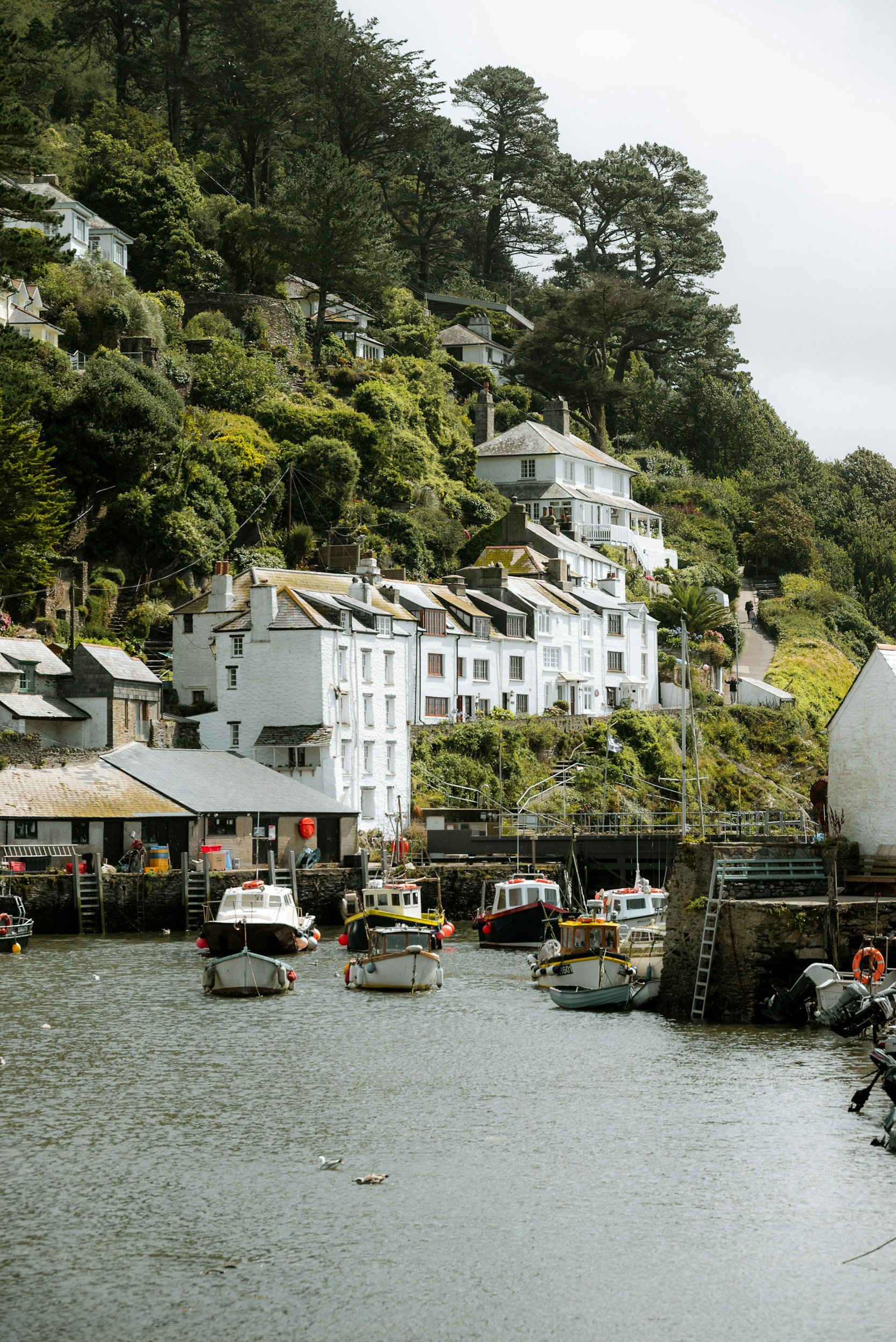 Looe Island