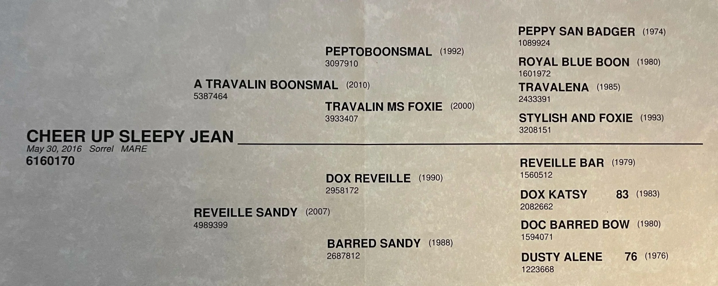 A list of dog names, birth years, and identification numbers on a beige background, with the title 'CHEER UP SLEEPY JEAN' and additional details such as date and location.