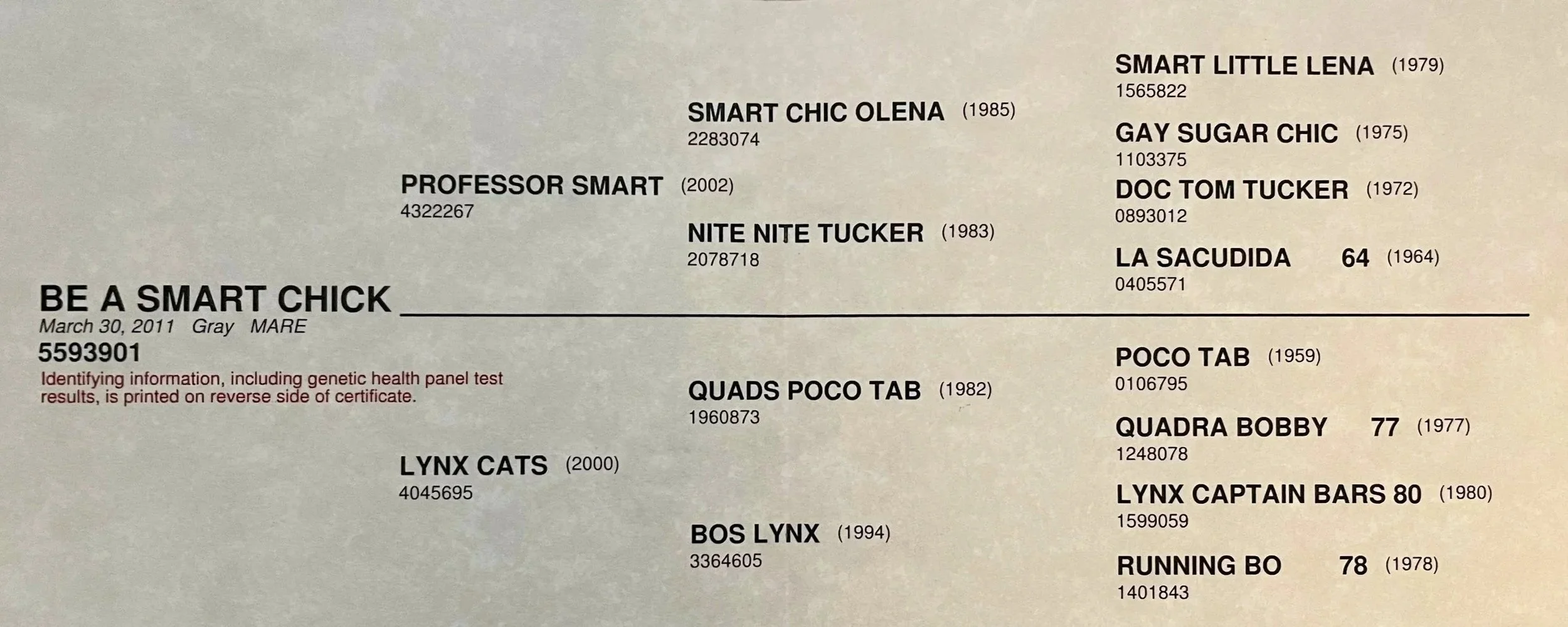 A certificate titled 'Be a Smart Chick,' listing various cat names, birth years, and identification numbers, with a note about genetic health panel testing results.