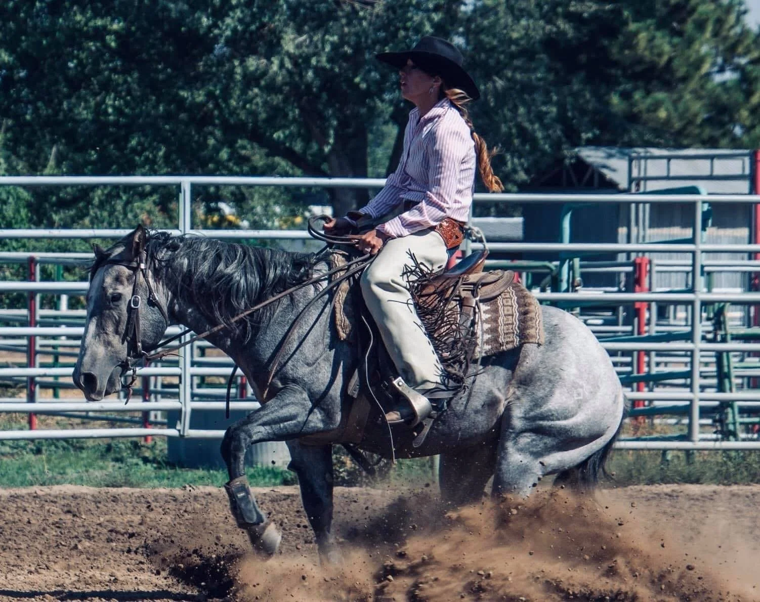 A woman riding a gray horse in an outdoor arena, wearing a black cowboy hat, striped shirt, and Western riding attire, with green trees and metal fencing in the background.