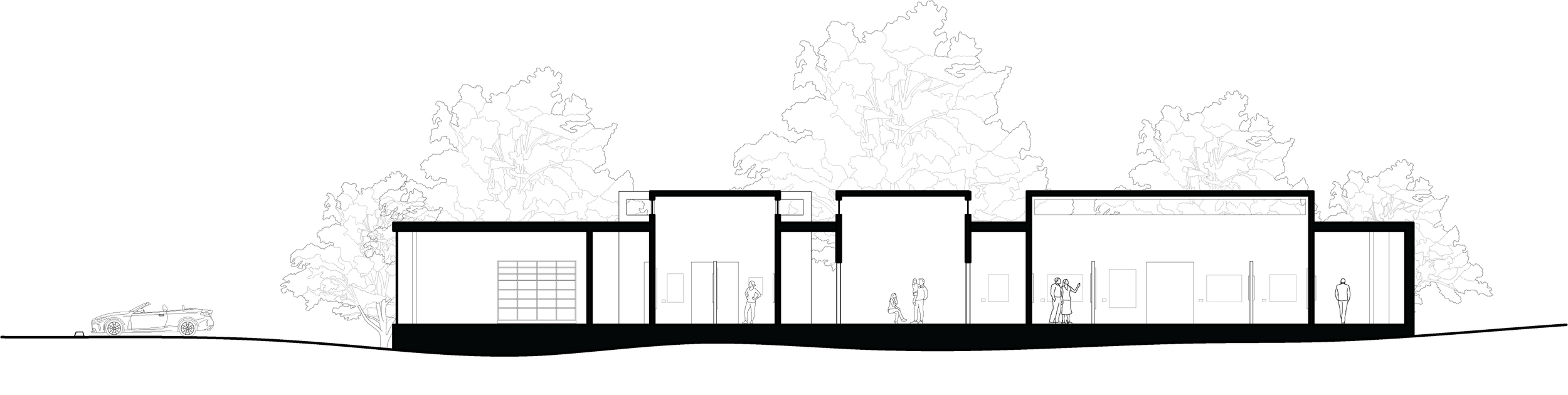 Gallery - Section 1 - Updated.png