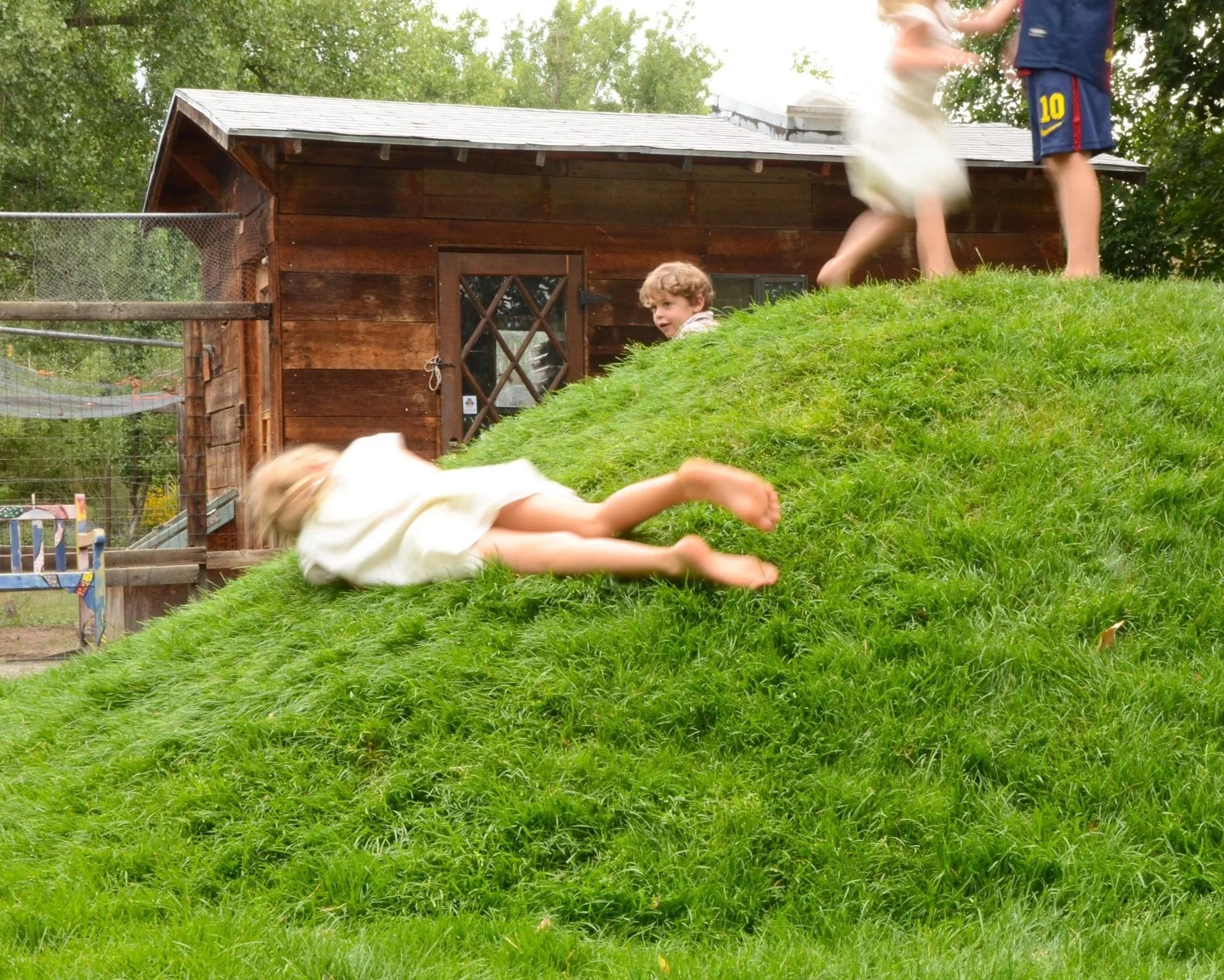 Children playing on a grassy hill near a wooden shed, with one child sliding and others standing at the top, in a backyard or park setting.
