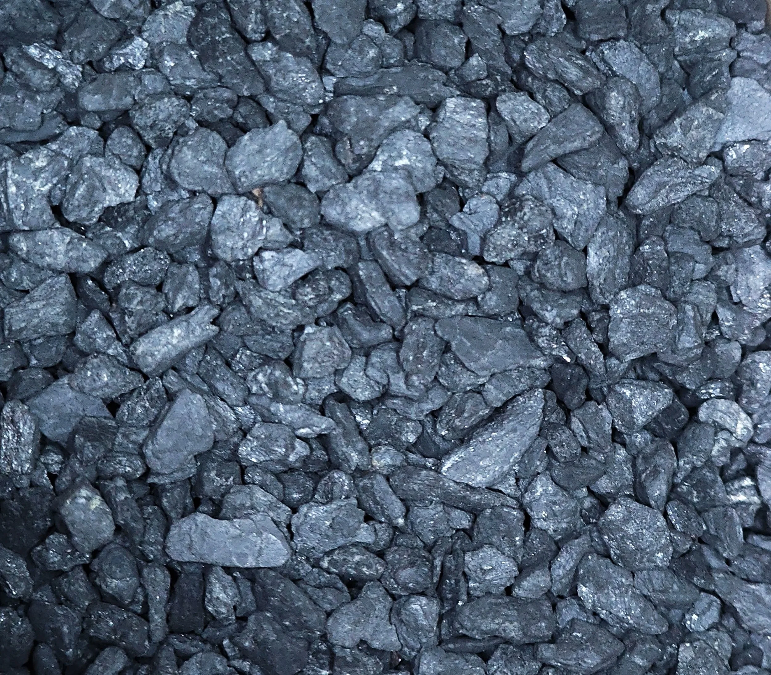 Activated charcoal benefits for isopods and springtails (and other inverts)