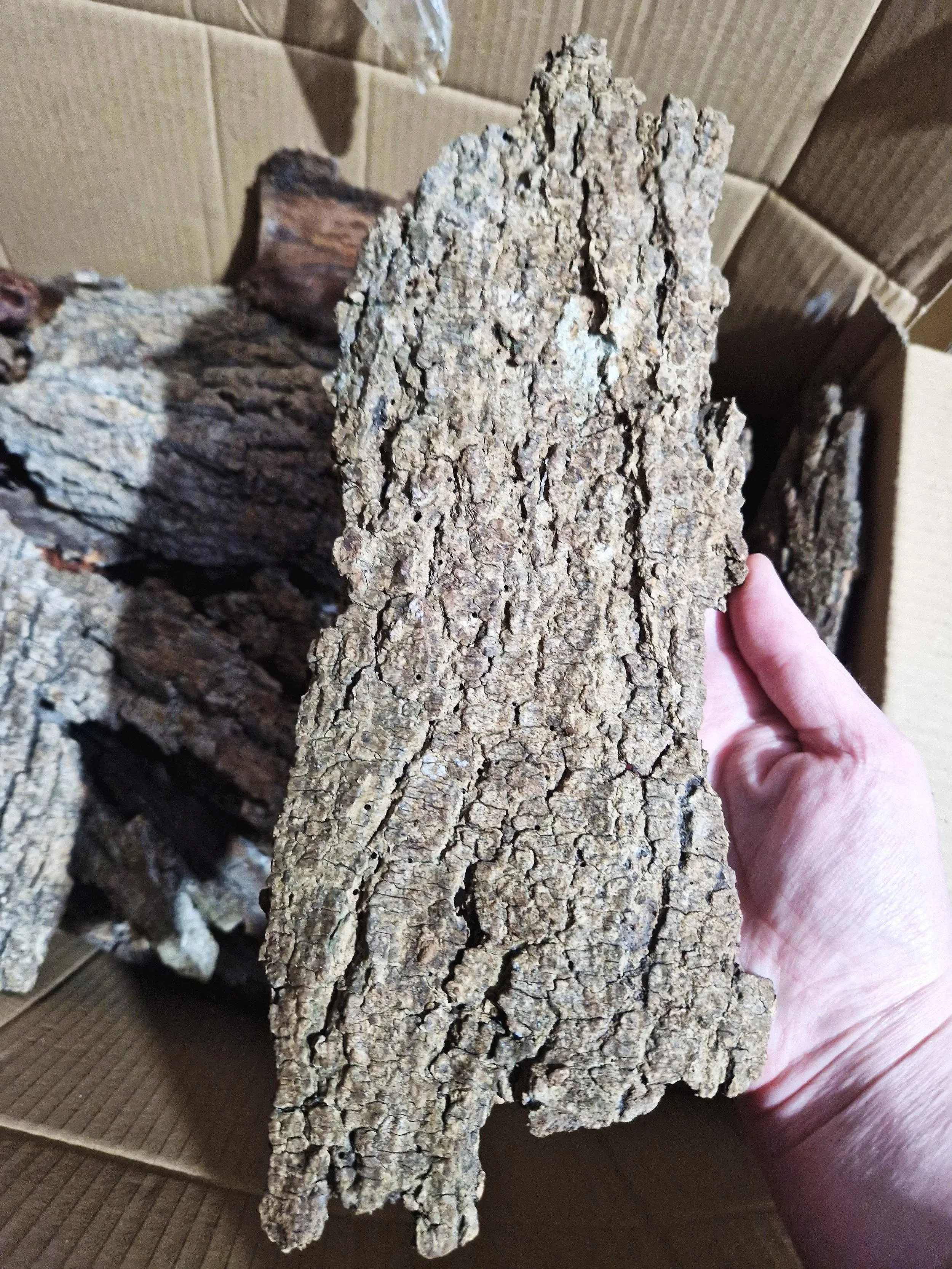 Natural flat cork bark pieces for isopods and other invertebrates