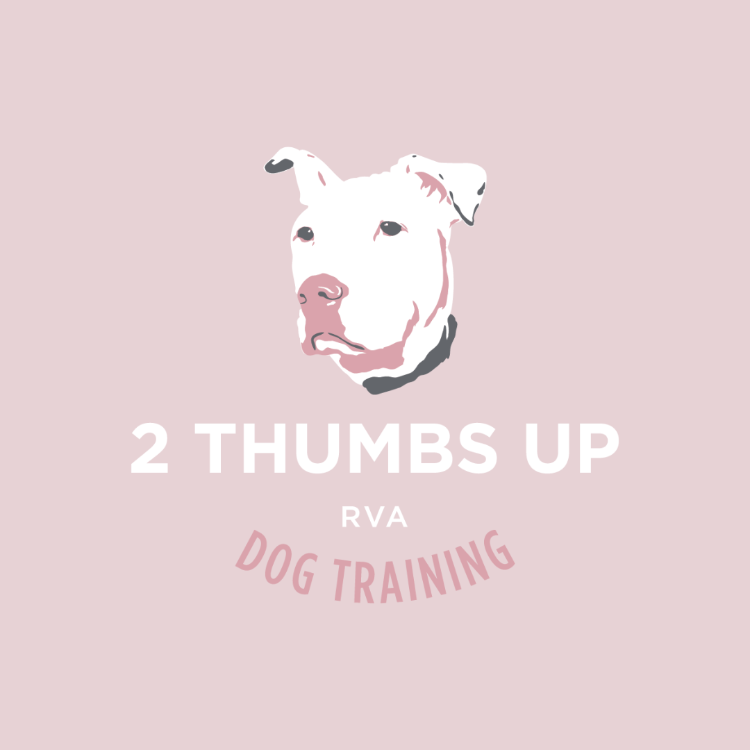2ThumbsUpLogo.png