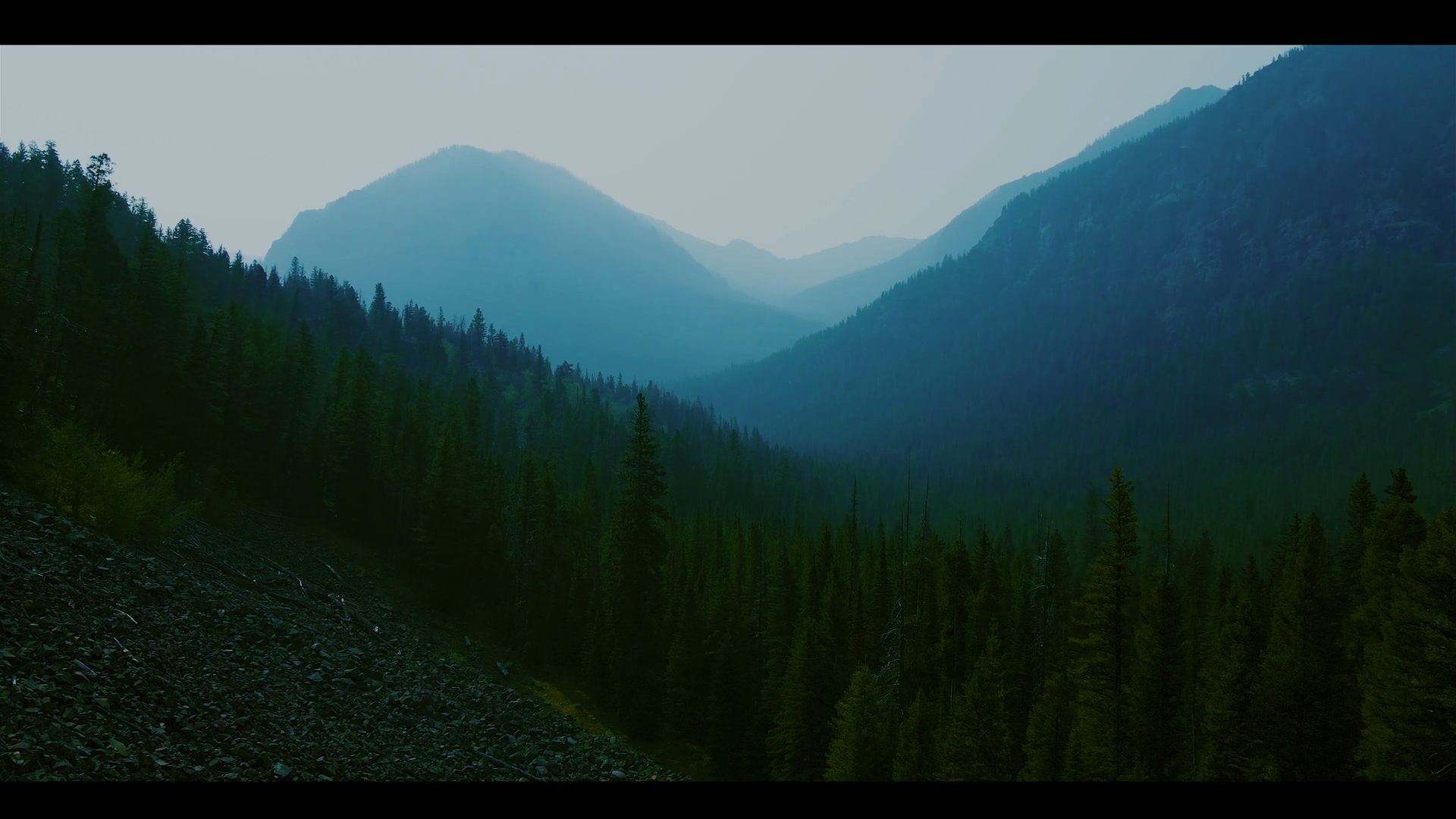Screenshot (404).png