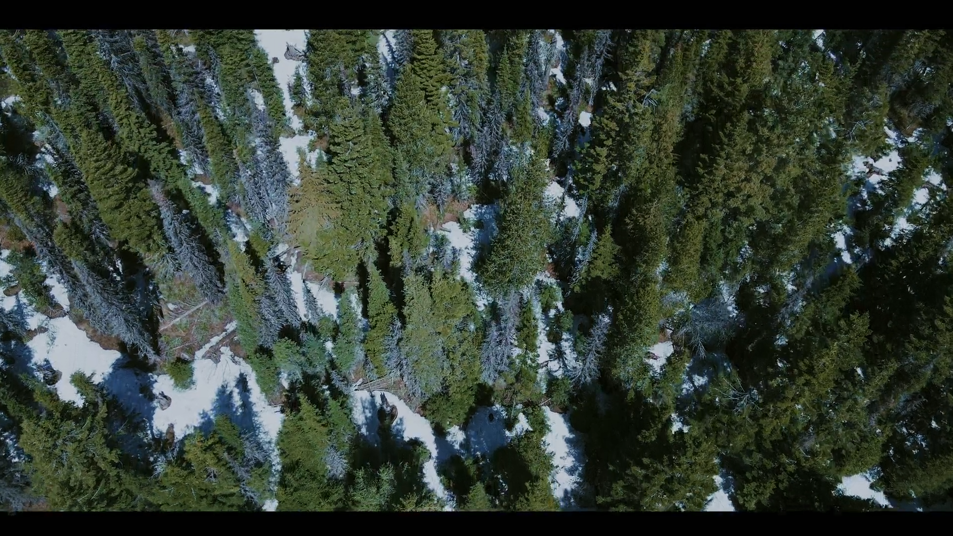 Screenshot (401).png