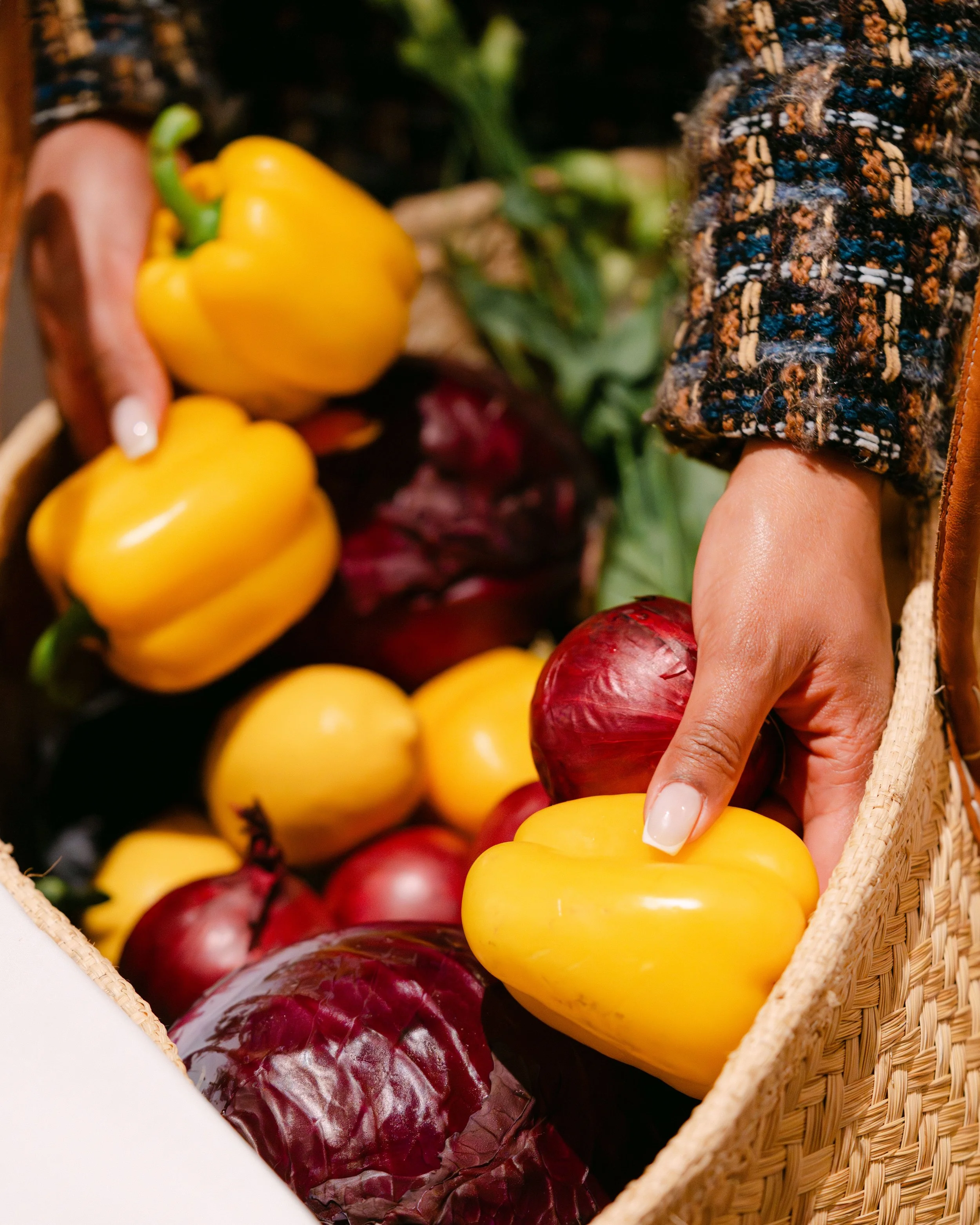 @paola.s.photos_251120_CALLAS WEBSIZE-192.jpg