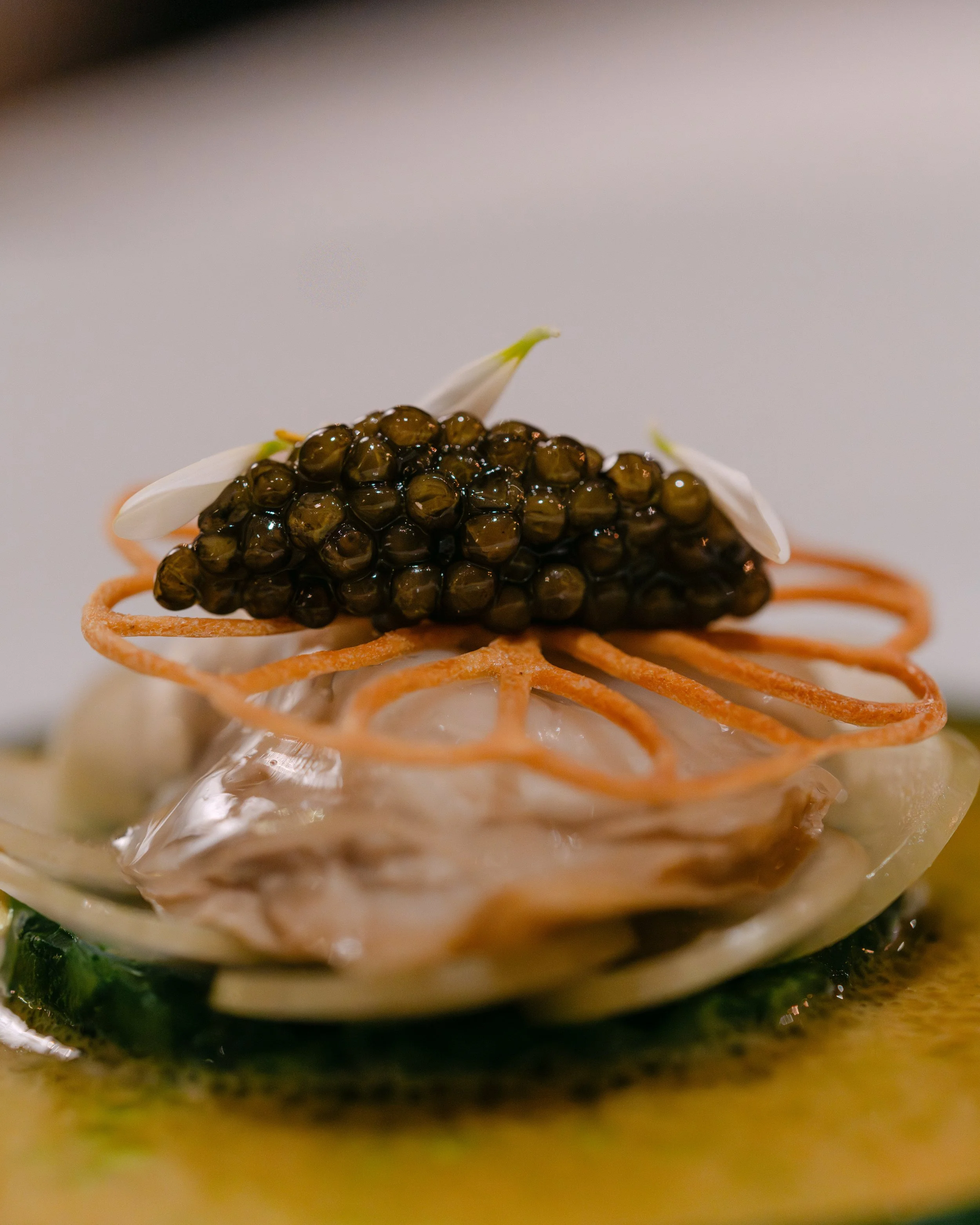 @paola.s.photos_251120_CALLAS WEBSIZE-92.jpg