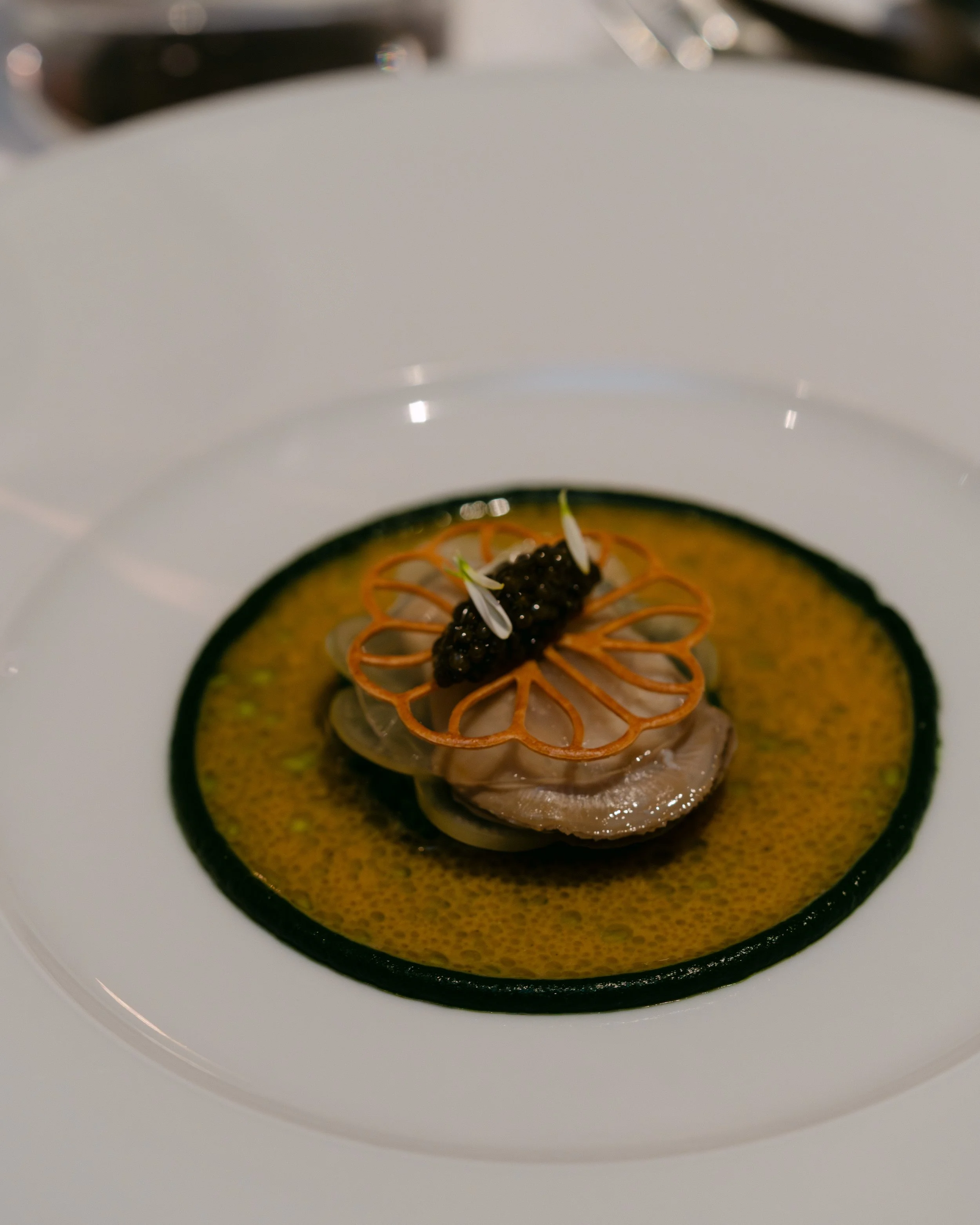 @paola.s.photos_251120_CALLAS WEBSIZE-87.jpg