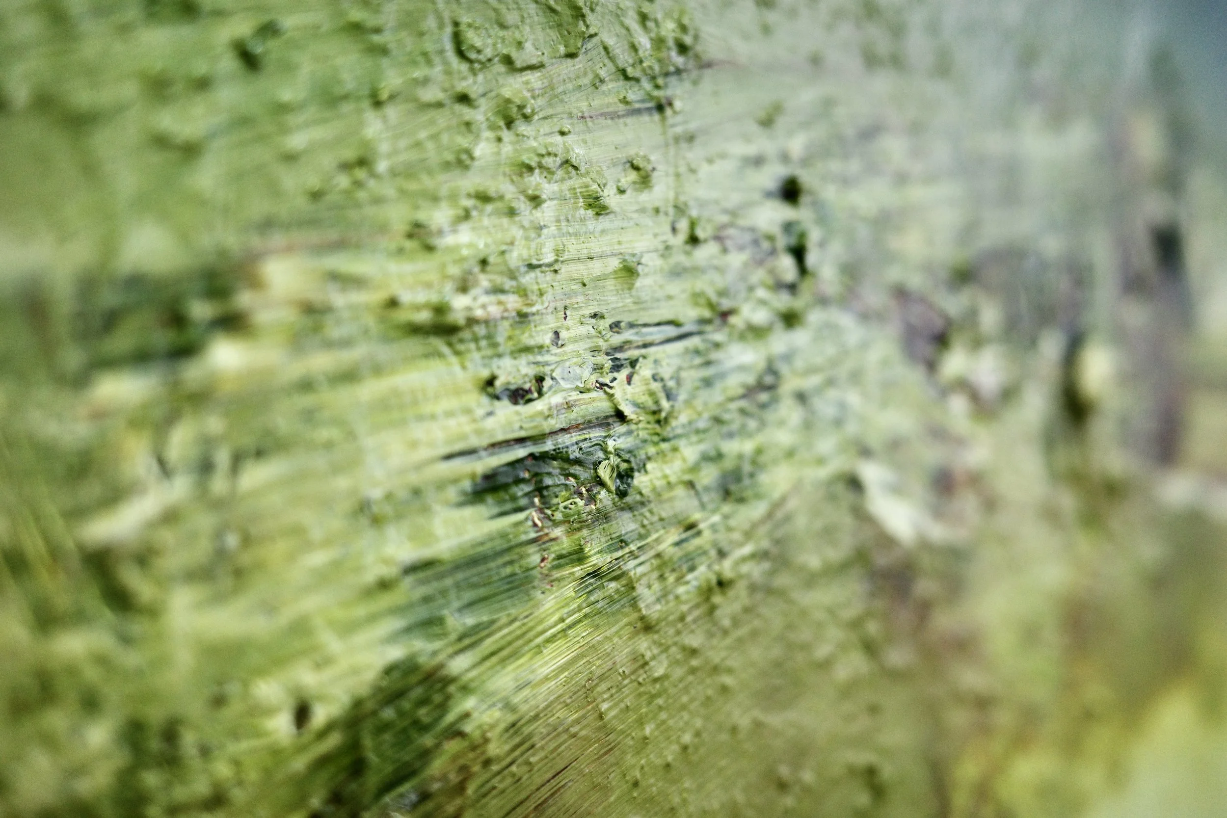 Gemälde Dirk Pleyer "ALBUM G 95 | 25" (Detail von links), Öl in grün