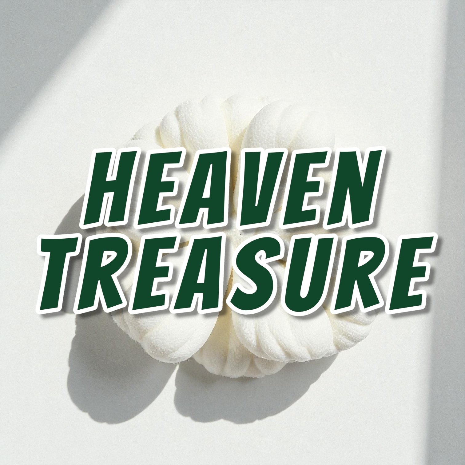 HEAVEN TREASURE.jpeg