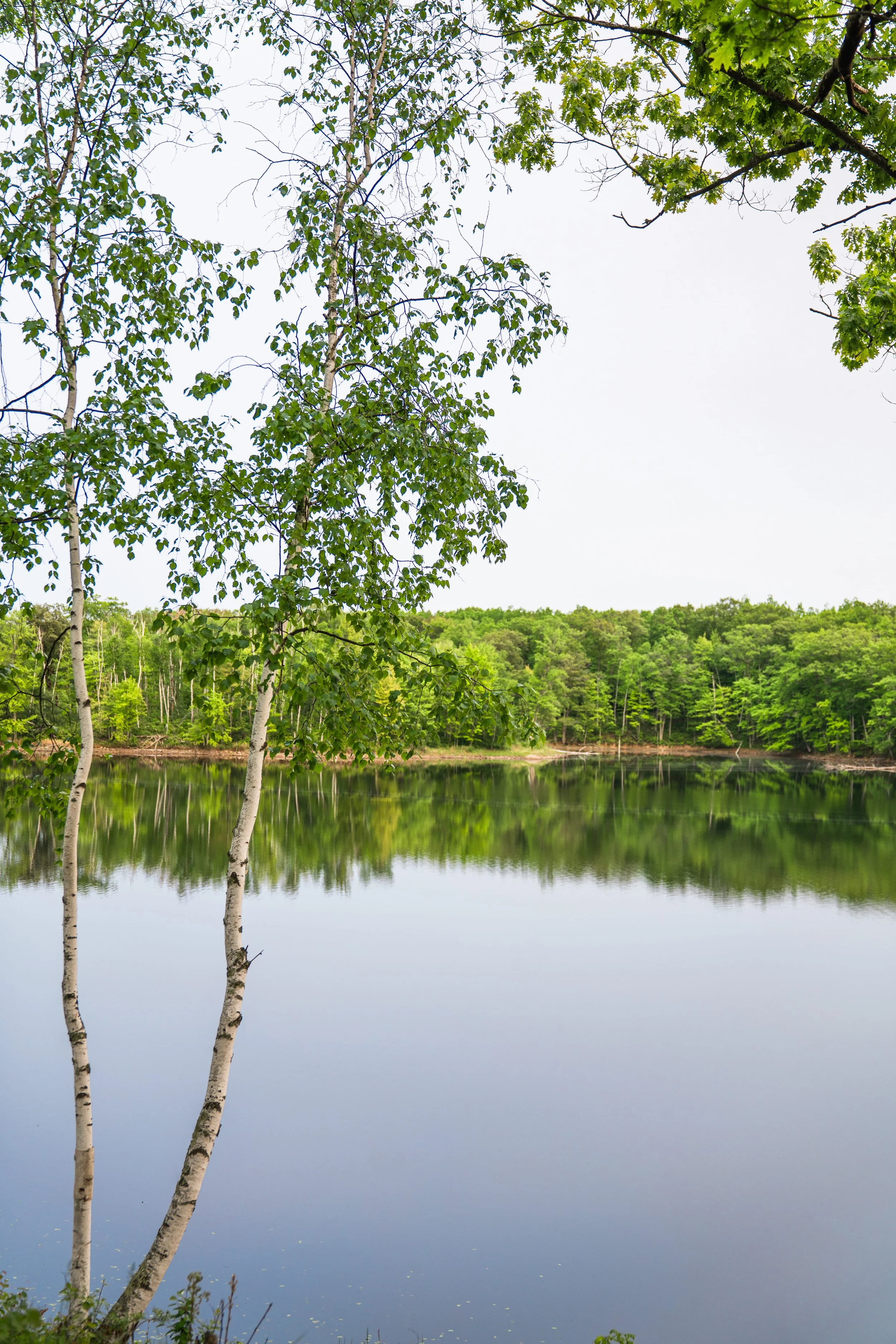 A peaceful lake surrounded by green trees with a reflection in the water, under a partly cloudy sky.